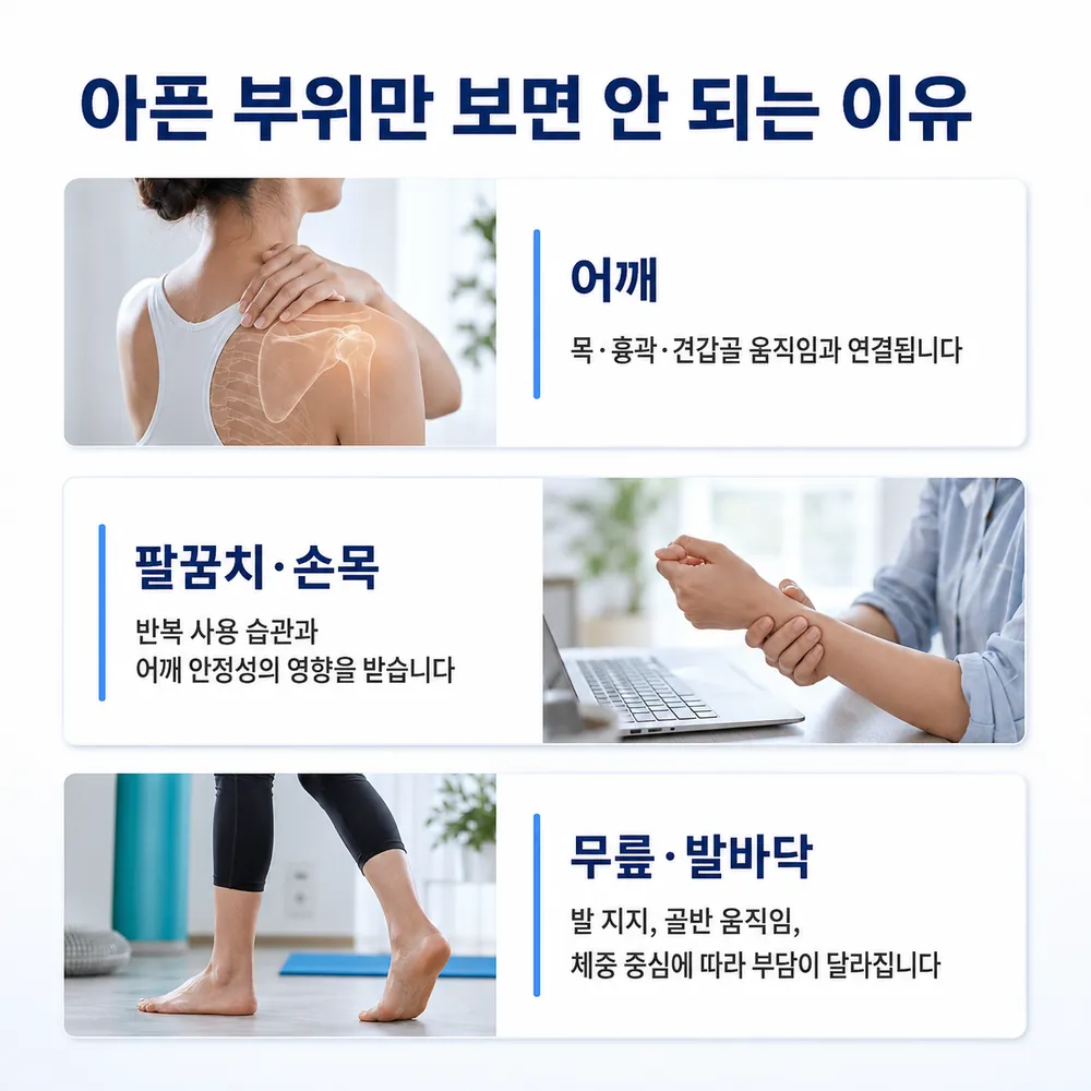 어깨, 팔꿈치·손목, 무릎·발바닥이 다른 부위의 움직임과 연결되는 이유 안내